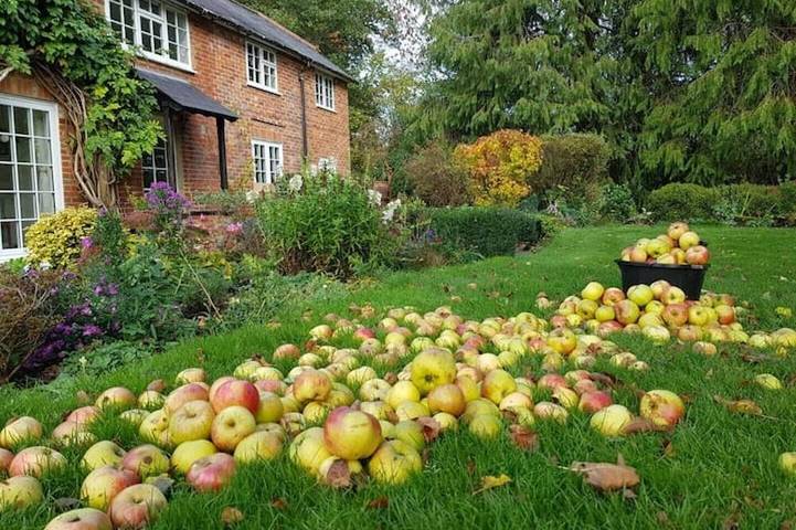 Orchard Barn Spa, exclusively for you, New Forest in Rockbourne, Cranborne Chase