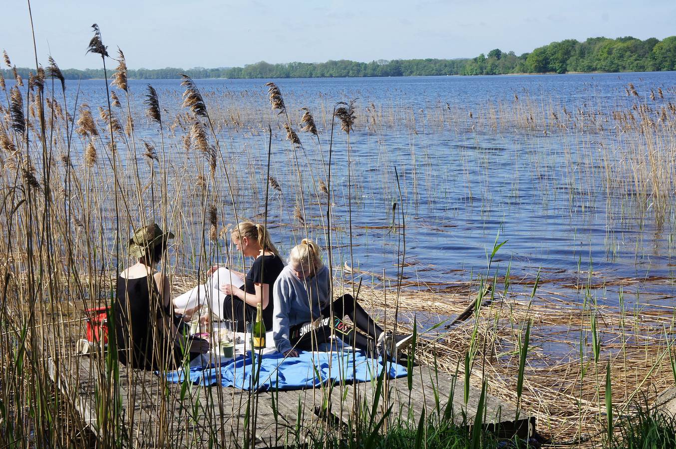 Ferienhaus auf der Insel Ivö in Skåne in Bromölla, Schwedische Ostsee
