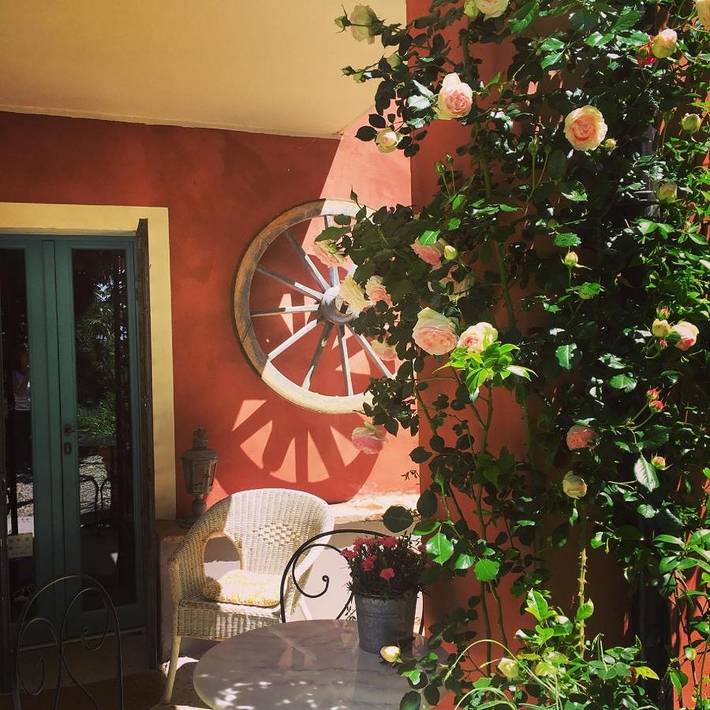 Casa vacanza per 2 persone, con Terrazza e Giardino nonché Panorama a Vignale Monferrato