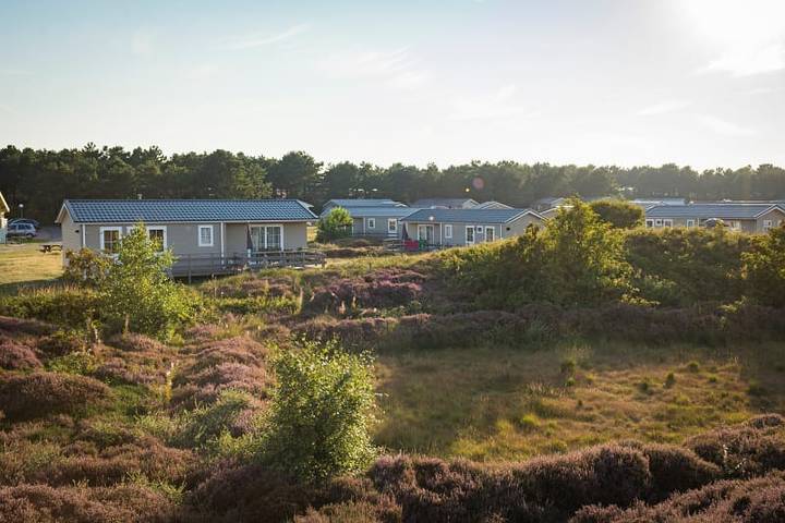 Camping Loodsmansduin — Chalet Type ‘De Hors’ (1-5 P) in Den Hoorn, Westfriesische Inseln