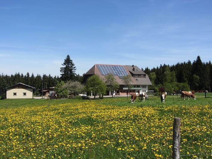 Gîte pour 4 personnes, avec terrasse et jardin, animaux acceptés à Schramberg - 2