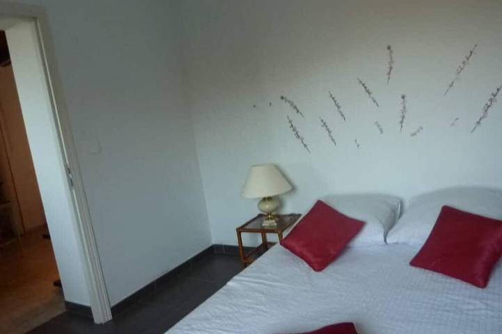 Location de vacances pour 5 personnes, avec jardin et terrasse, animaux acceptés à Sollacaro - 2