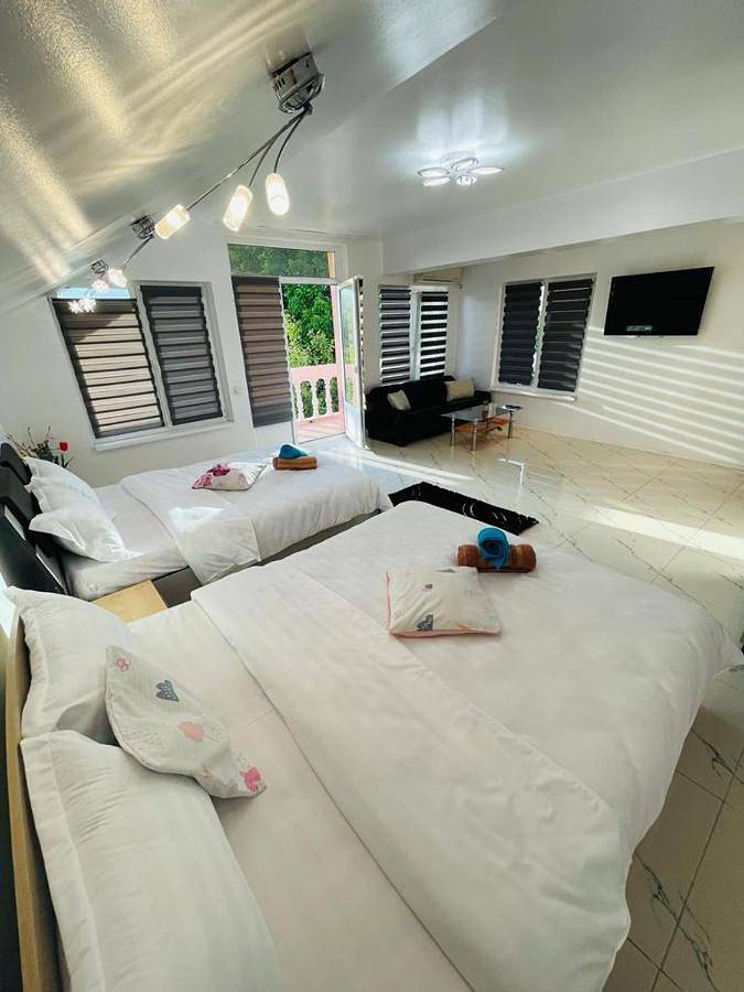 Gîte pour 3 personnes, avec vue et jardin dans Giurgiu