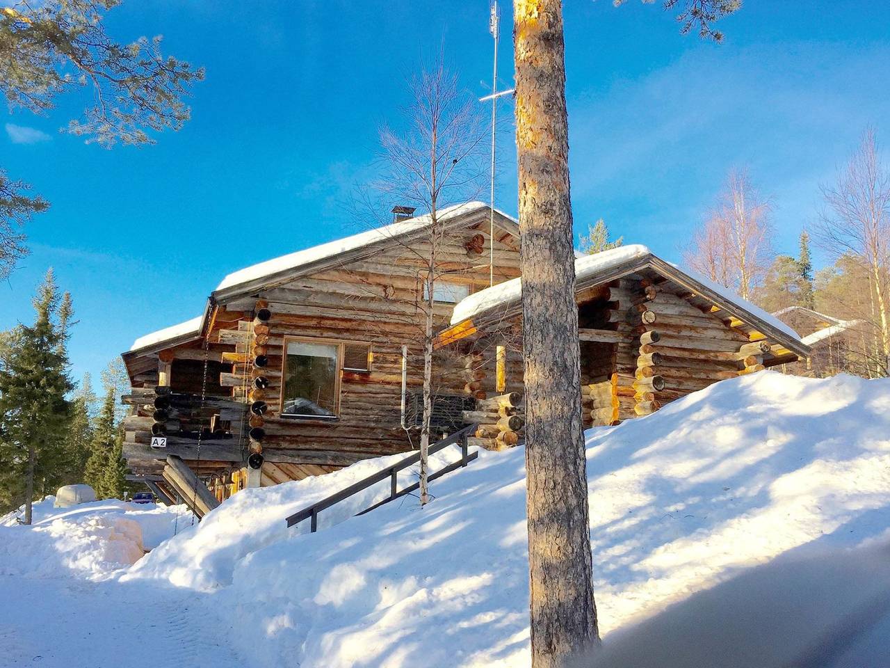 Sallanhelmi a2 in Sallatunturi, Lappland