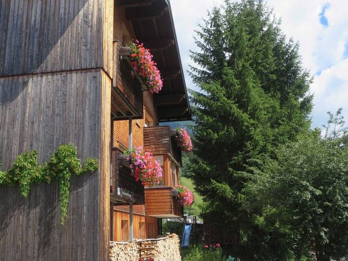 Ferienwohnung für 2 Personen, mit Balkon in Schoppernau - 2