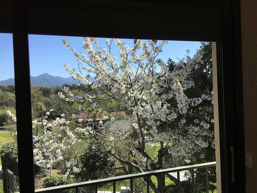 En dehors des sentiers battus in Maureillas-las-Illas, Région de Céret