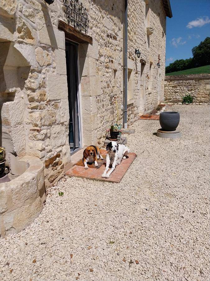 Le Domaine de Bella in Dangé-Saint-Romain, Vienne (France)
