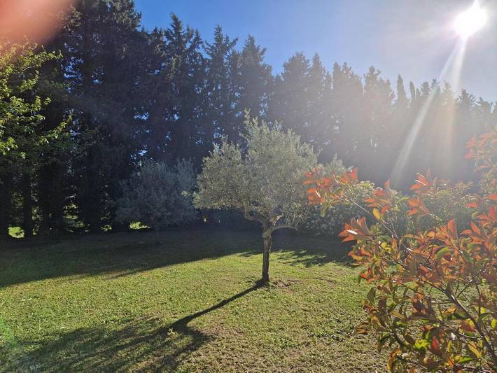 Casa de vacaciones para 2 personas, con jardín además de vistas y terraza, Se admiten mascotas - 1