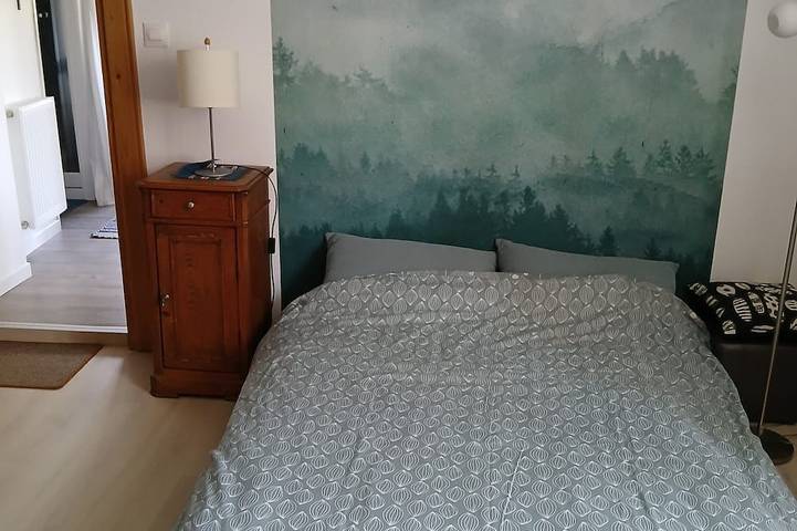 Gîte pour 3 personnes, avec terrasse et jardin à Buhl - 2