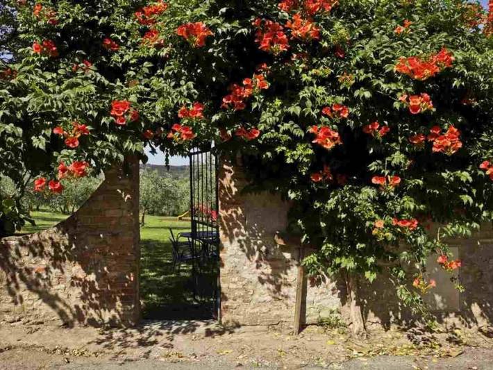 Agriturismo per 4 persone, con piscina e terrazza nonché giardino a Montelupo Fiorentino
