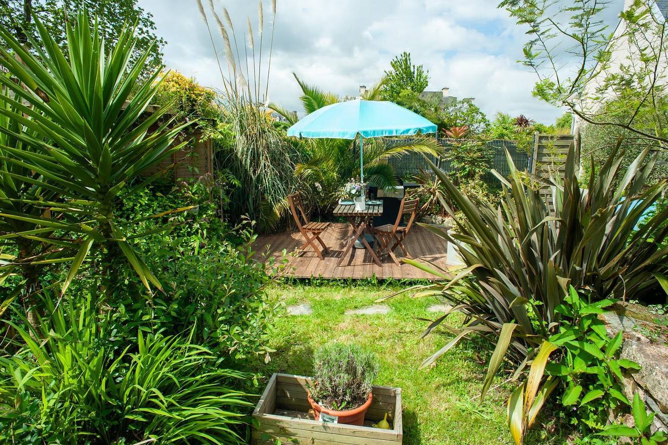 Les oliviers à Paimpol in Paimpol, Côte de Goëlo