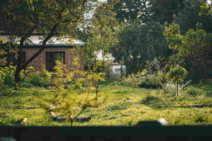 Ferienwohnung für 4 Personen, mit Garten und Ausblick in Möllenhagen