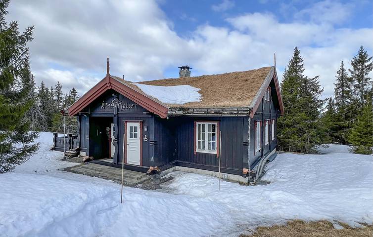 Location de vacances pour 8 personnes, avec Terrasse et Jardin dans Lillehammer