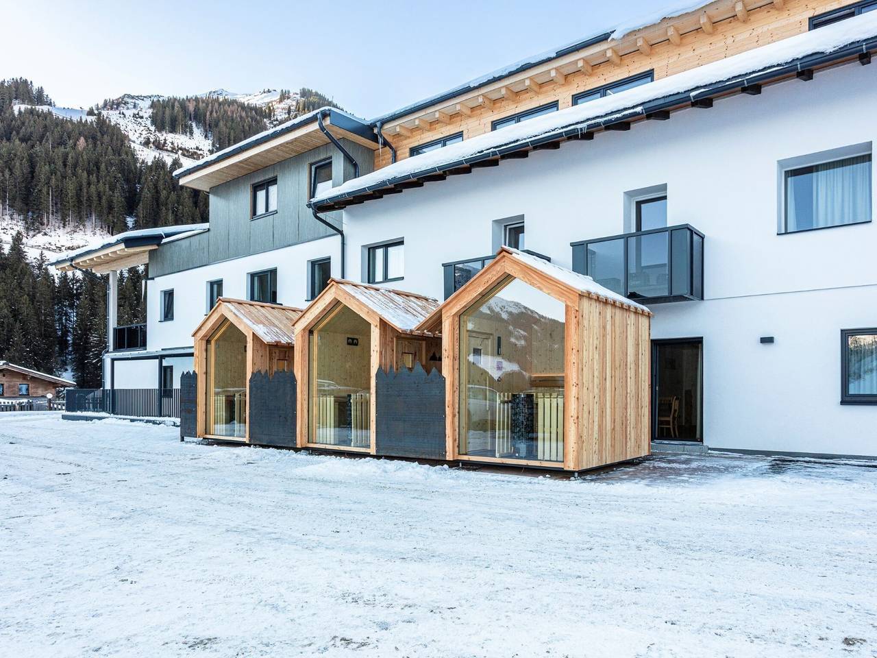 Geheel appartement, Direct aan de piste gelegen met sauna in huis in Hinterglemm, Saalbach-Hinterglemm