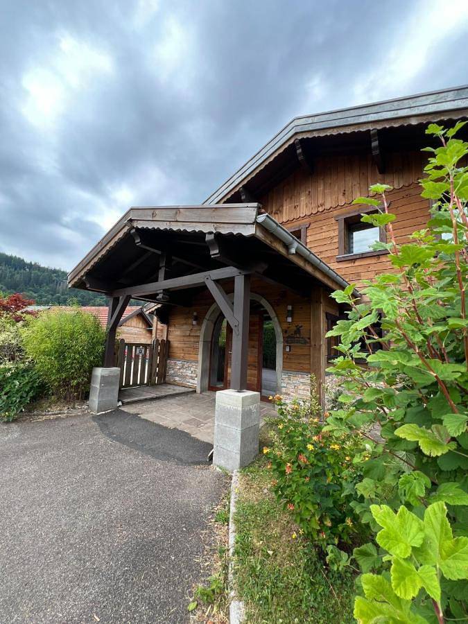 Location de vacances pour 15 personnes, avec jardin et sauna ainsi que piscine et vue, animaux acceptés dans Station de Larcenaire - Bussang - 3