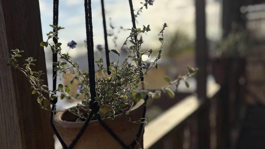 Gîte pour 2 personnes, avec balcon dans la Ravine Blanche - 3