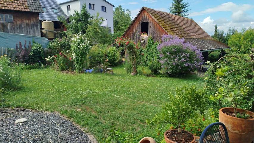 Studio für 2 Personen, mit Garten und Balkon in Herbolzheim - 4