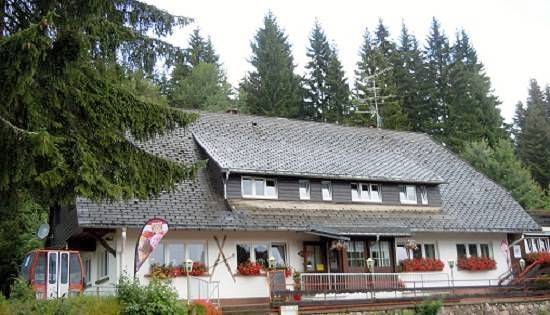 Hotel für 4 Personen, mit Seeblick und Terrasse sowie Balkon/Terrasse, mit Haustier in Dachsberg - 2