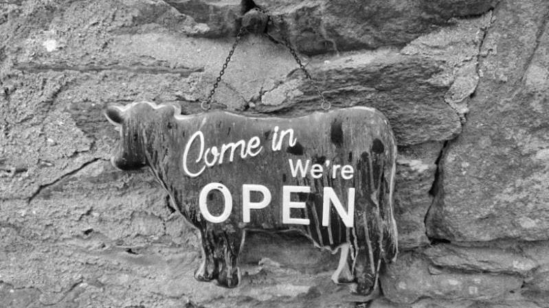 Location de vacances pour 6 personnes, avec jardin à Peumerit - 2