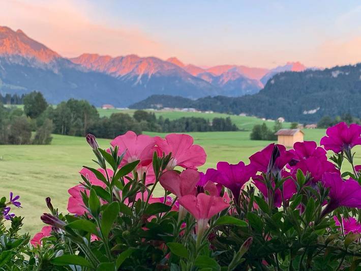 Ferienwohnung für 8 Personen, mit Garten und Ausblick sowie Sauna in Bolsterlang - 2