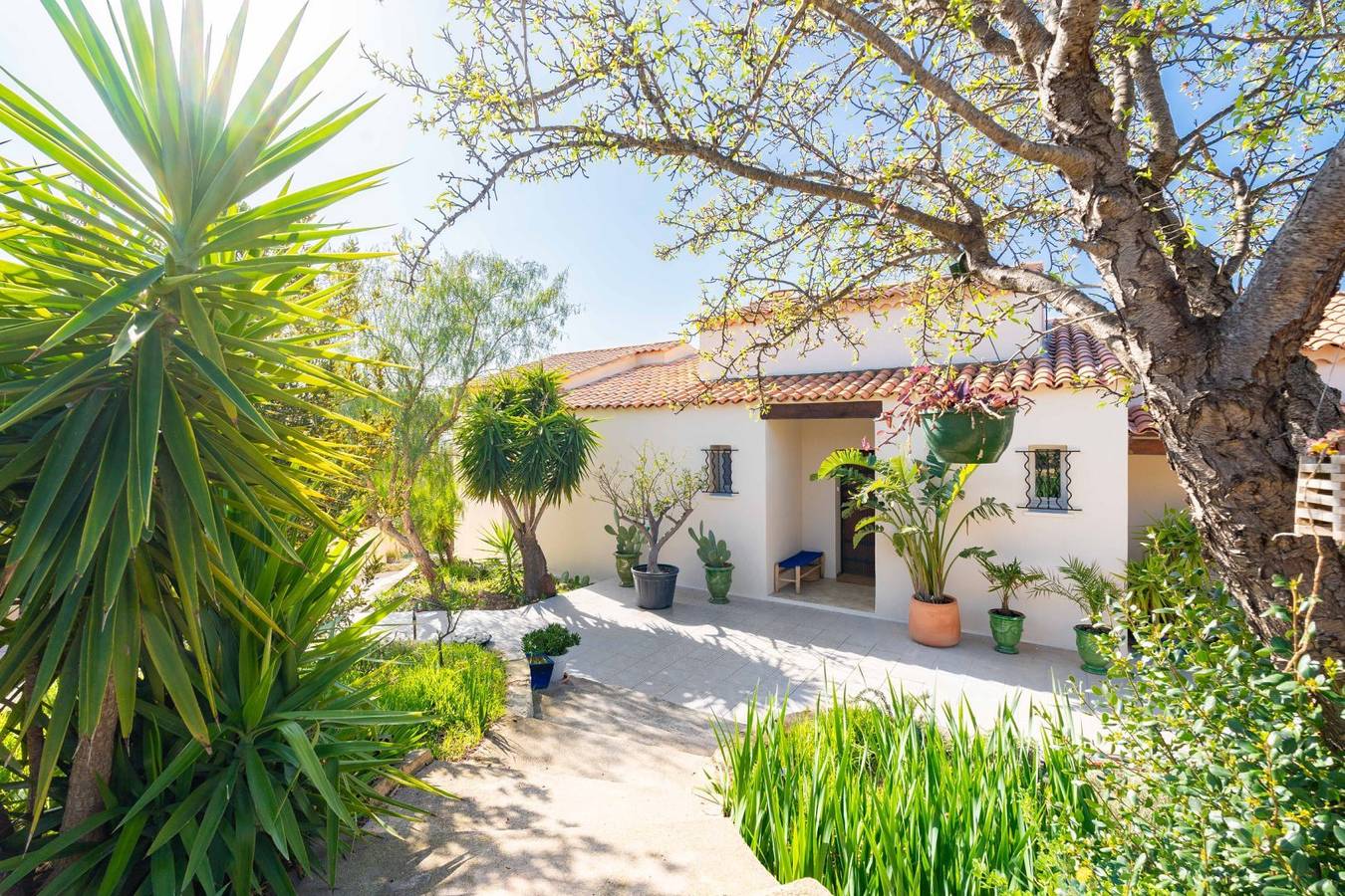 Les Cactus Bleus - chambres d'hôtes sur la Côte Bleue - Chambre jaune in Sausset-les-Pins, Région d'Istres