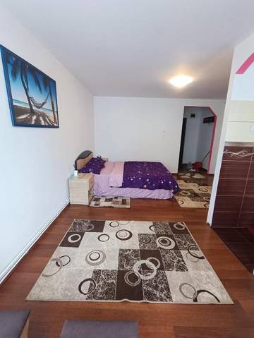 Gîte pour 2 personnes, avec balcon et vue, animaux acceptés dans Deva (Roumanie)