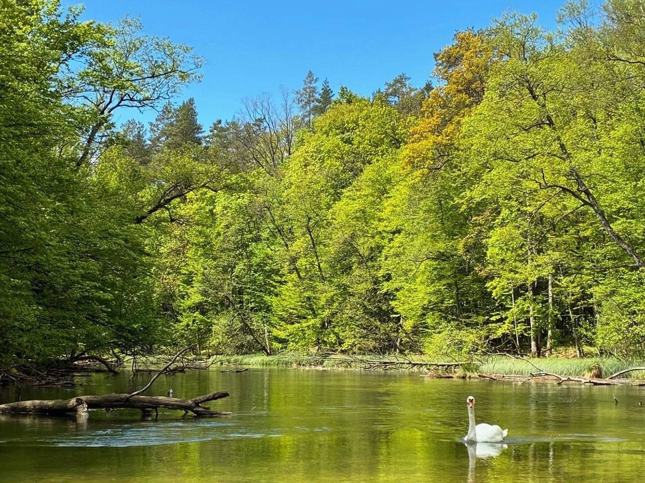 Zagroda nad Krutynią in Masuren