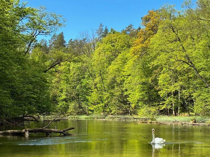 Zagroda nad Krutynią in Masuren