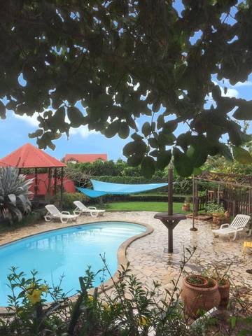 Bungalow pour 2 personnes, avec terrasse et piscine, animaux acceptés en Guadeloupe