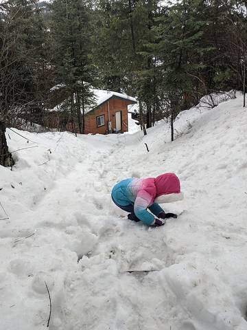 Log Cabin for 2 Guests in Spirit Lake, Idaho, Picture 2