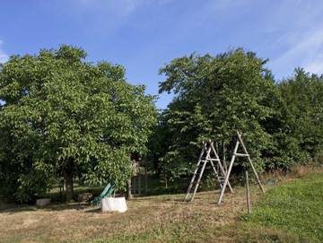 Ferienhaus für 4 Personen in Erbach, Odenwaldkreis, Bild 3
