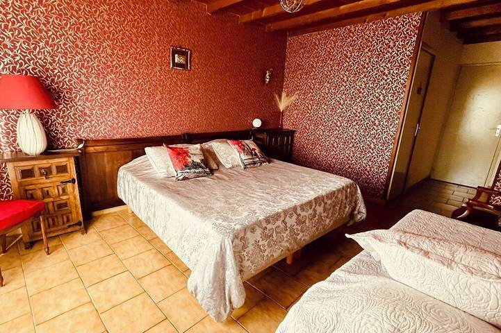 Location de vacances pour 15 personnes, avec terrasse et jardin, animaux acceptés à Courzieu - 3