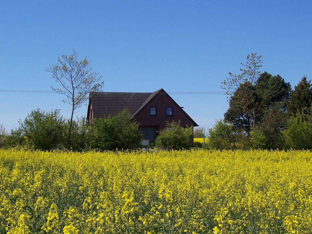 Ganze Ferienwohnung, Marschal Ferienwohnung 8 in Hasselberg, Kappeln & Umgebung