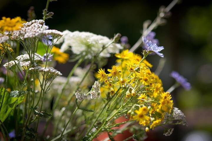 Ferienhaus für 8 Personen, mit Sauna und Terrasse sowie Garten in Rheinland-Pfalz