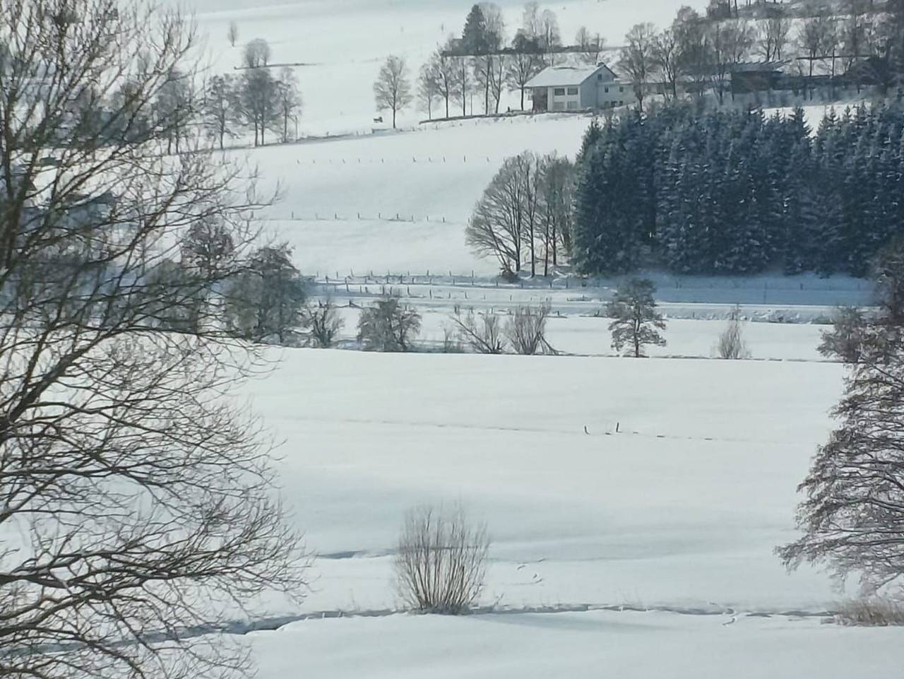 Ferienhaus Birkelbach - Fh mit 8 Sz, max. 12Pers., in Erndtebrück, Kreis Siegen-Wittgenstein