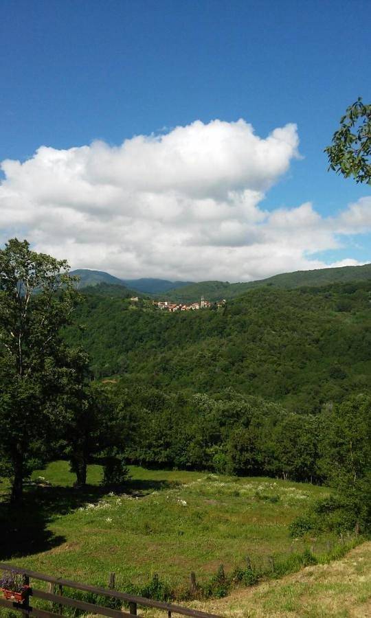 Location de vacances pour 11 personnes, avec Balcon et Terrasse ainsi que Jardin et Piscine à Pontremoli - 4
