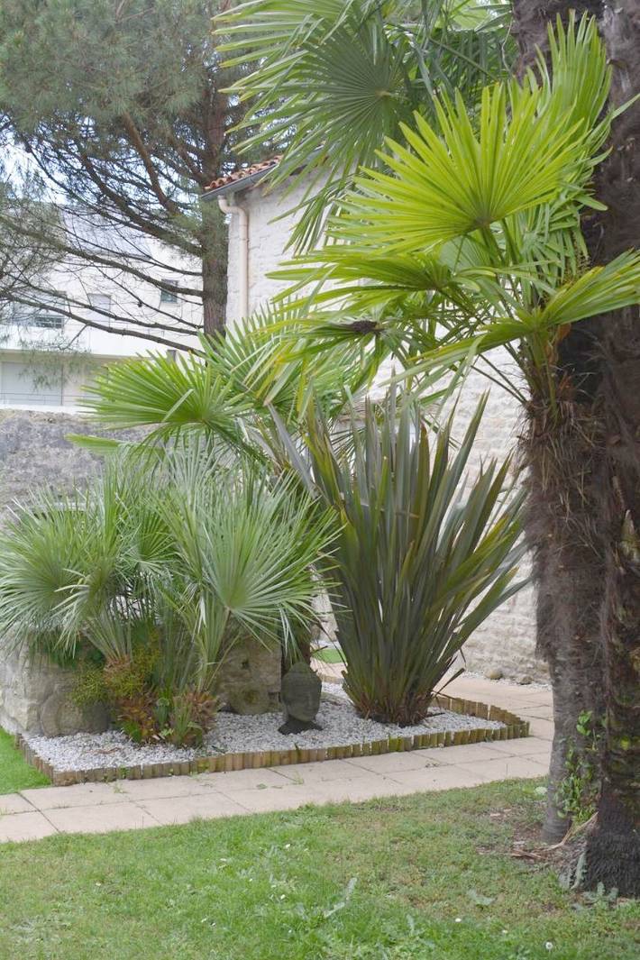 Gîte pour 5 personnes, avec jardin et vue, adapté aux familles à Niort - 2