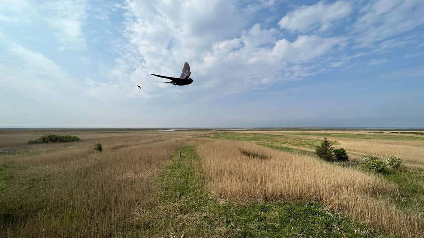 Ferienhaus für 9 Personen, mit Garten und Whirlpool sowie Sauna in Nørhede Vest - 3