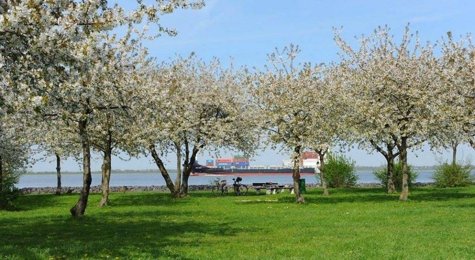 Ganze Ferienwohnung, Blütenzauber Apartment No. 4 in Mittelnkirchen, Altes Land Stade