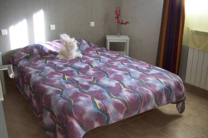 Location de vacances pour 4 personnes, avec jardin à Allègre-les-Fumades - 3