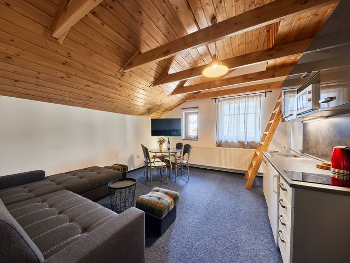 Appartement de vacances pour 7 personnes, avec jardin et sauna, animaux acceptés - 1