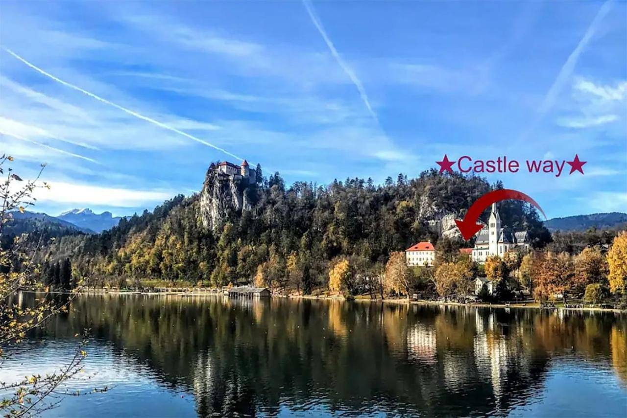 Ganze Wohnung, Castle way Apartments Tamy in Bled, Triglav Nationalpark
