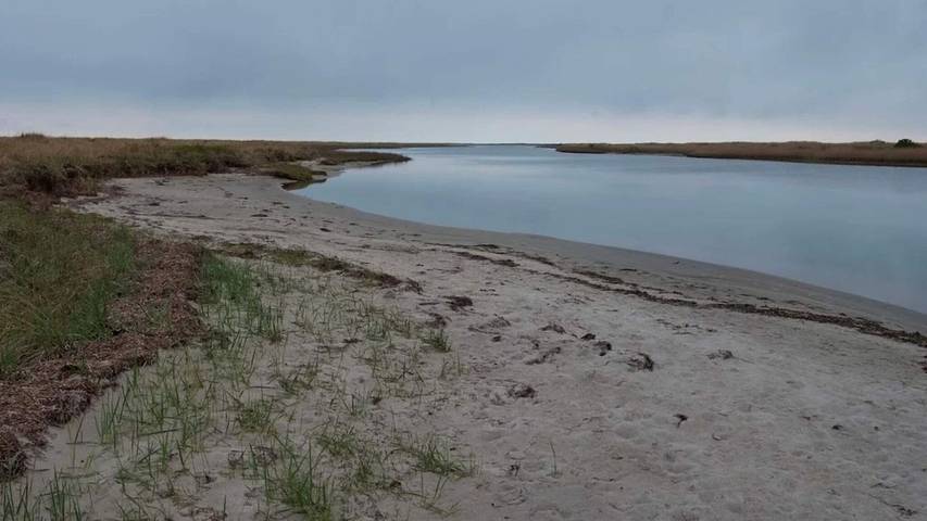 Ferienhaus für 7 Personen, mit Garten auf Læsø - 4
