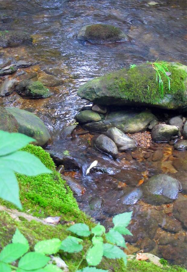 Ferienhaus für 6 Personen, mit Sauna und Balkon sowie Balkon/Terrasse, mit Haustier in Lam - 4