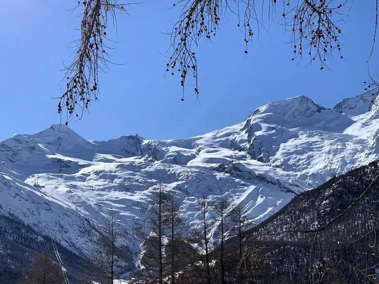 Ganze Wohnung, 3 Pièces 5 Personnes in Saas-Balen, Walliser Alpen