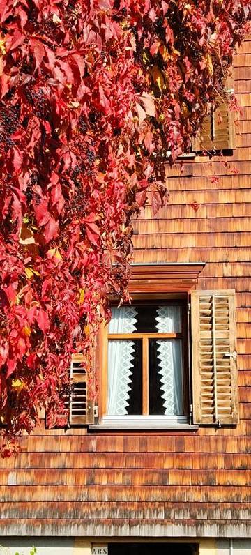 Ferienwohnung für 2 Personen, mit Ausblick und Garten in Schwarzenberg