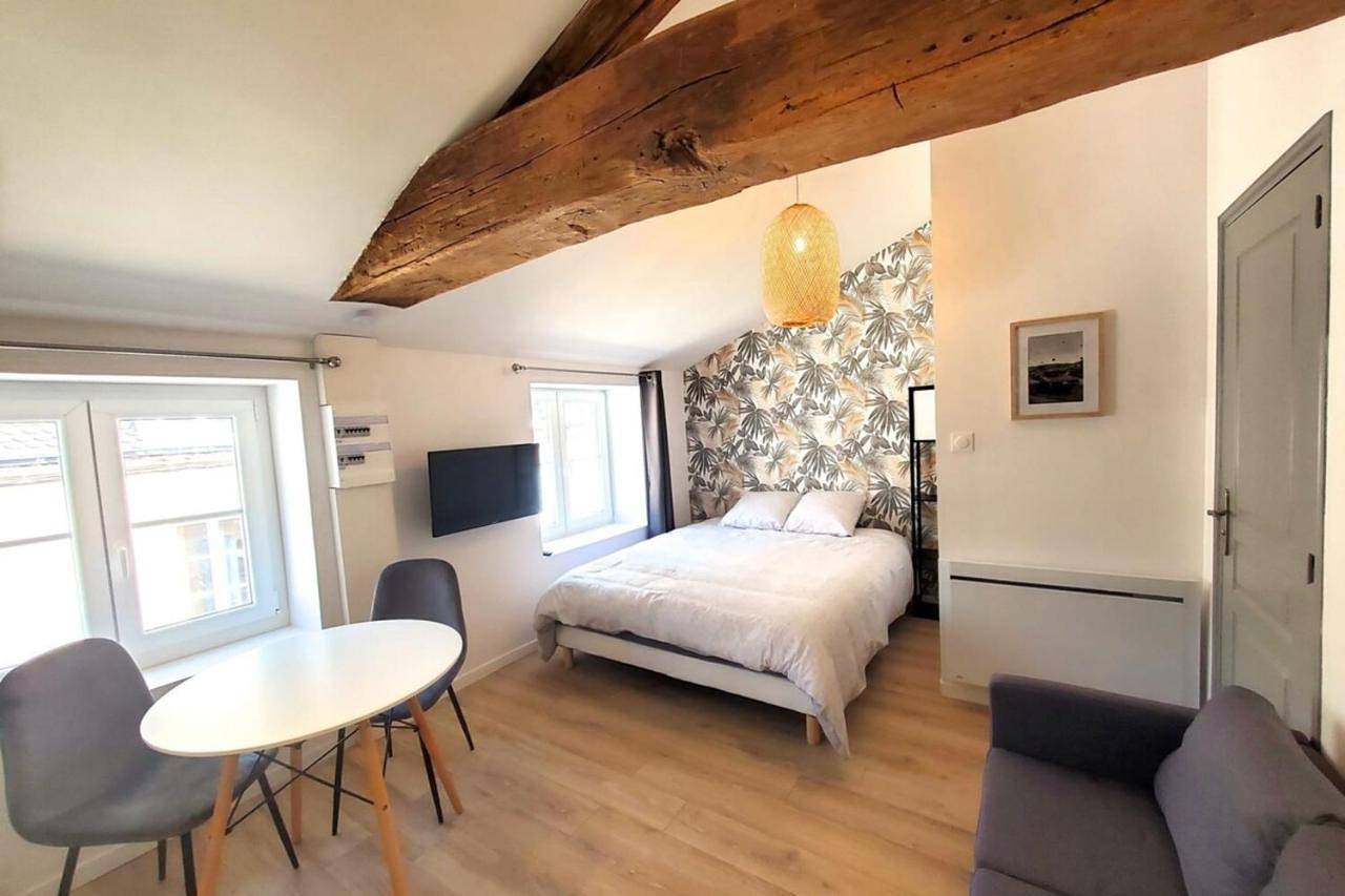 Appartement entier, One-Bedroom Apartment in Mâcon, Région de Mâcon