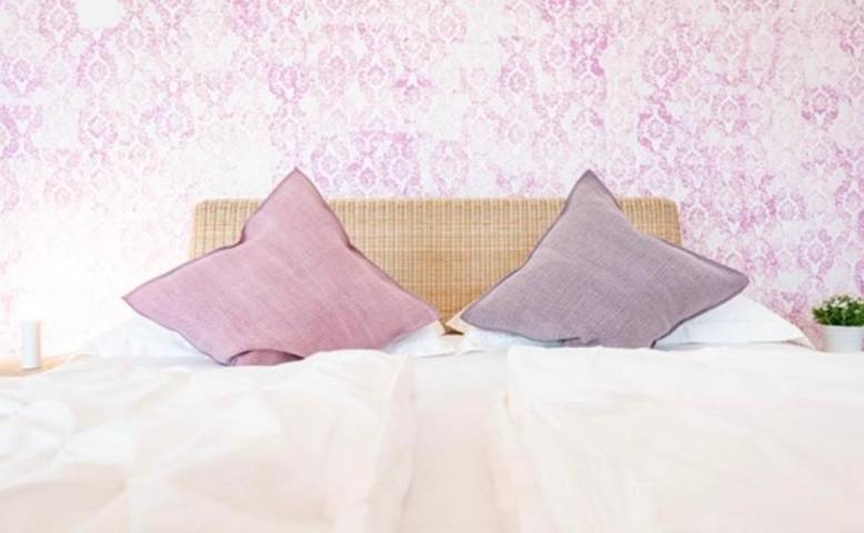 Gîte pour 4 personnes, avec jardin, animaux acceptés à Venzone