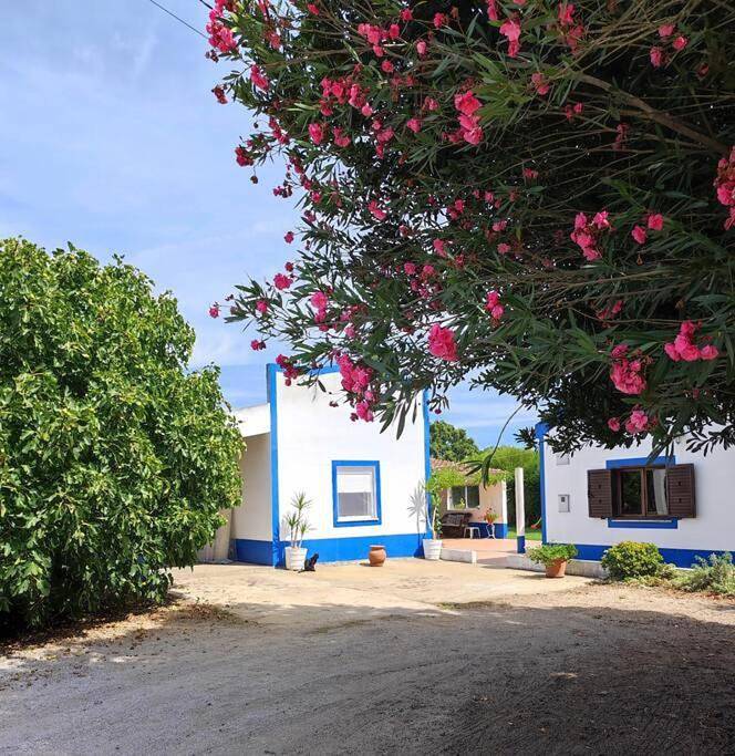 Monte da Figueira in Melides, Costa Alentejana