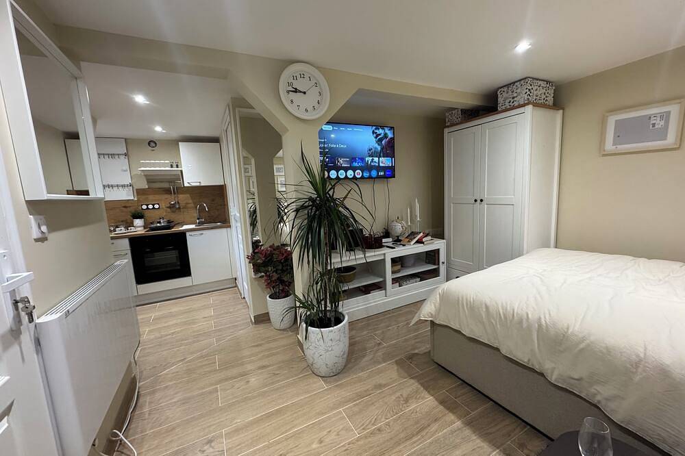 Ganze Wohnung, Furnished F1 apartment in Illkirch-Graffenstaden, Region Straßburg